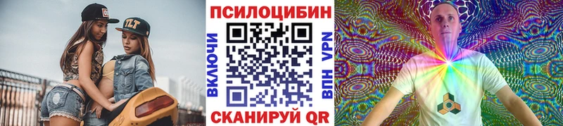 Купить закладки  Тетюши  Галлюциногенные грибы Psilocybine cubensis 